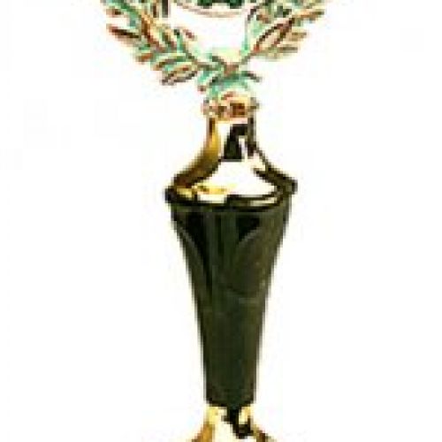 TROFEO CARTAS   330 mm R73 1093