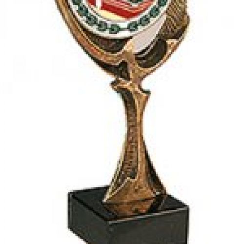 R70 3014 TROFEO BILLAR   245 mm