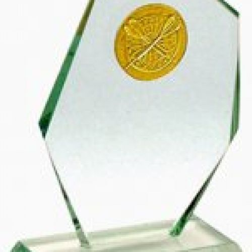 R71 0240 TROFEO DARDOS   120 mm cristal PARTICI.
