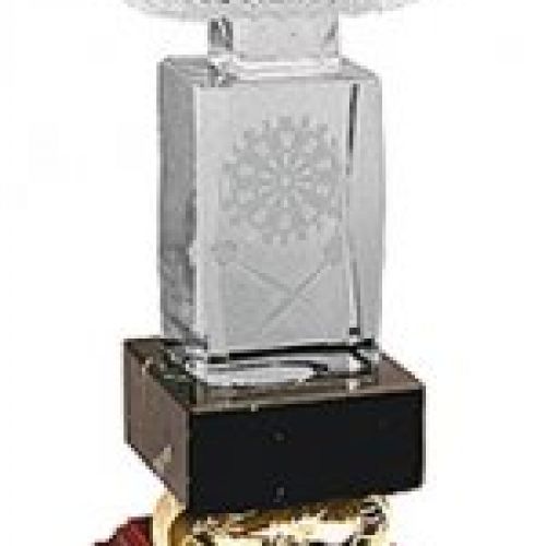 COPA   DARDOS   175 mm R71 0251
